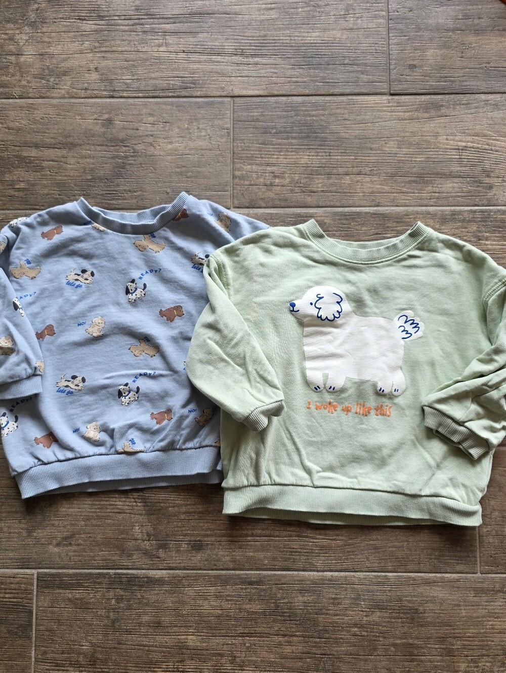 3T Puppy Sweatshirts